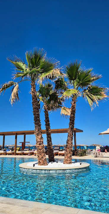 Pool allsun Hotel Carolina Mare