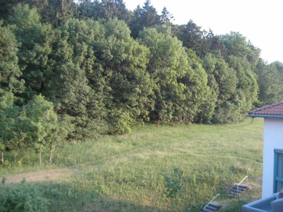 Aussicht aus unserem Zimmer H+ Hotel Limes Thermen Aalen