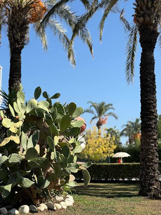 Gartenanlage Trendy Aspendos Beach Hotel