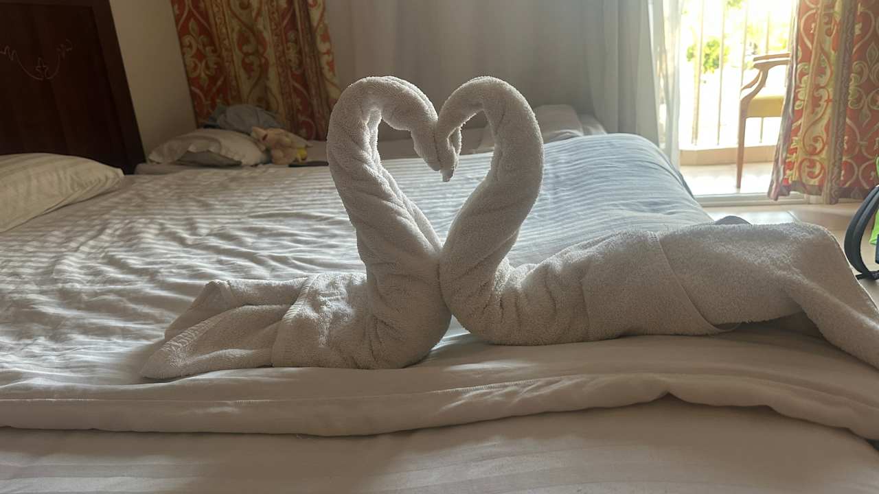 Zimmer Royal Star Beach Resort