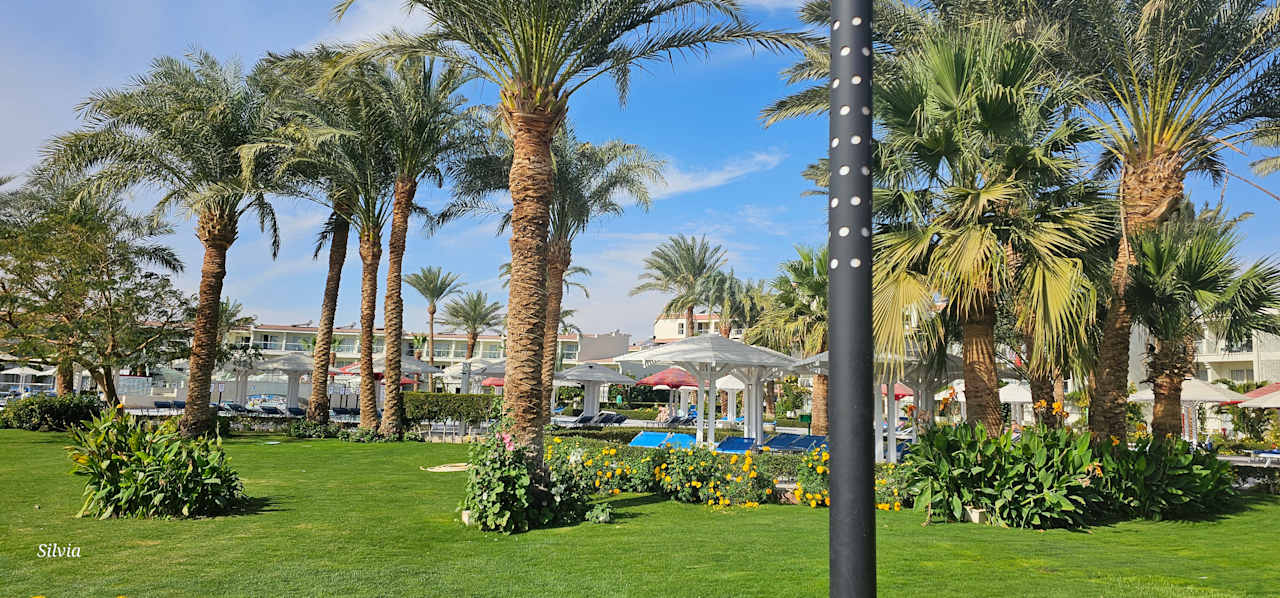 Gartenanlage Amarina Abu Soma Resort & Aquapark