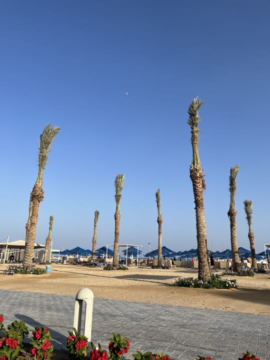 Strand Pickalbatros Blu Spa Resort