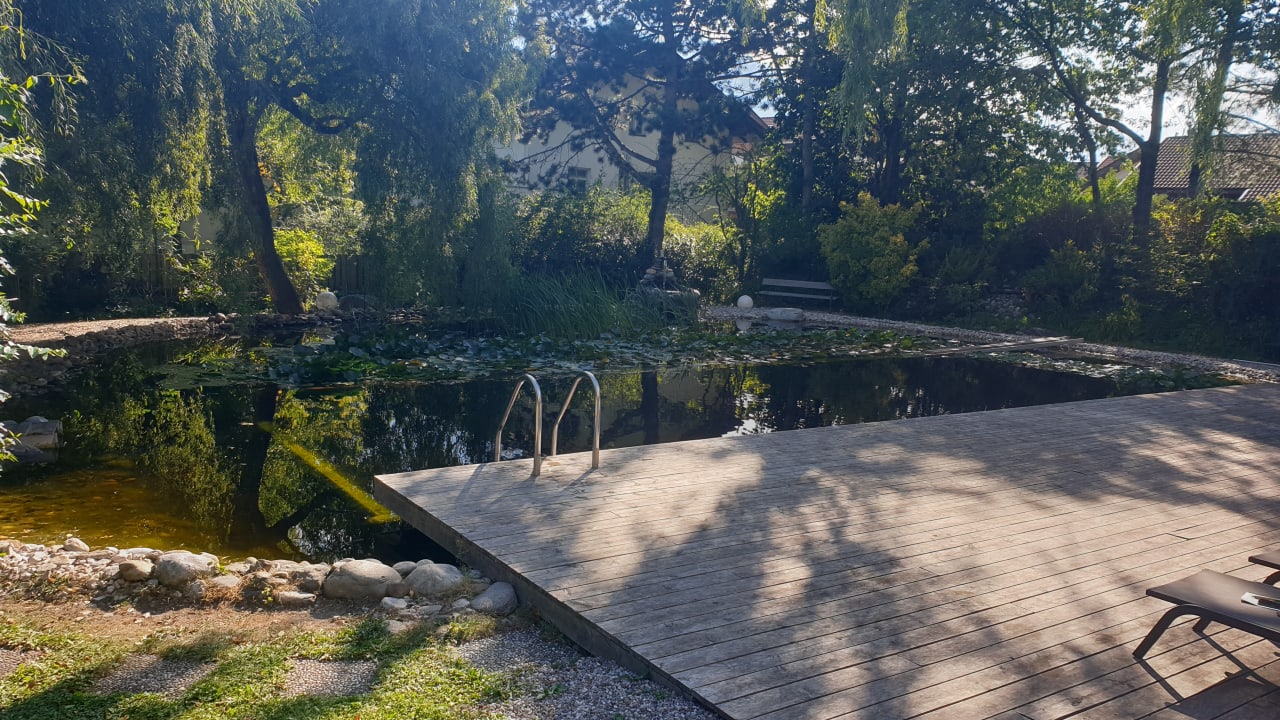 Pool La Vimea Biotique Hotel