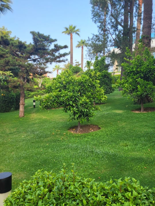 Gartenanlage Side Star Elegance