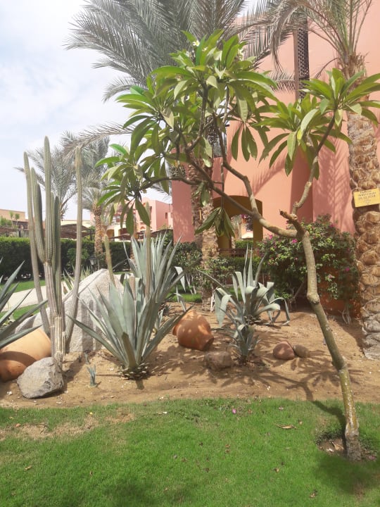 Gartenanlage Jaz Makadi Saraya Resort