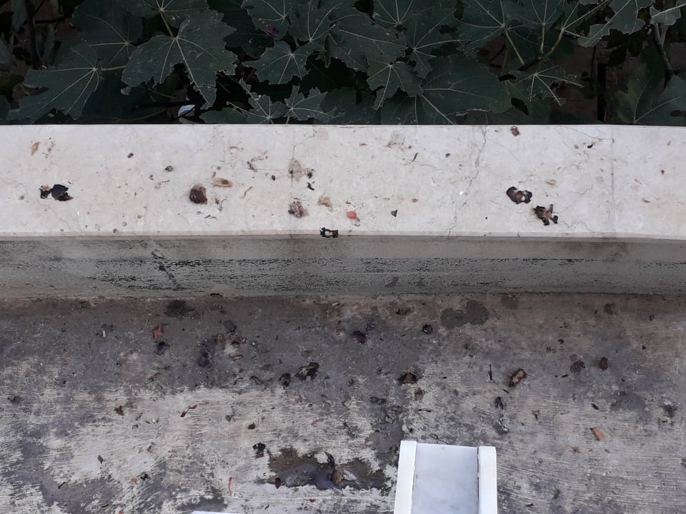 Sonstiges Seaden Sea World Resort & Spa