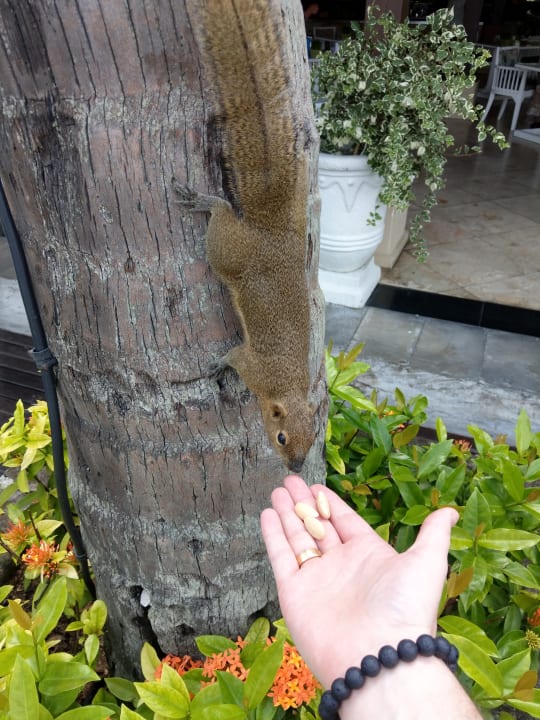 Sonstiges InterContinental Bali Resort