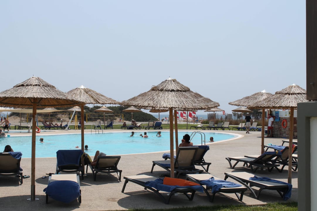 Schmetterlingspool Atlantica Plimmiri