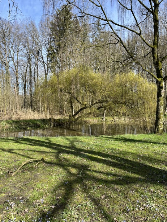 Gartenanlage Vila Vita Burghotel Dinklage