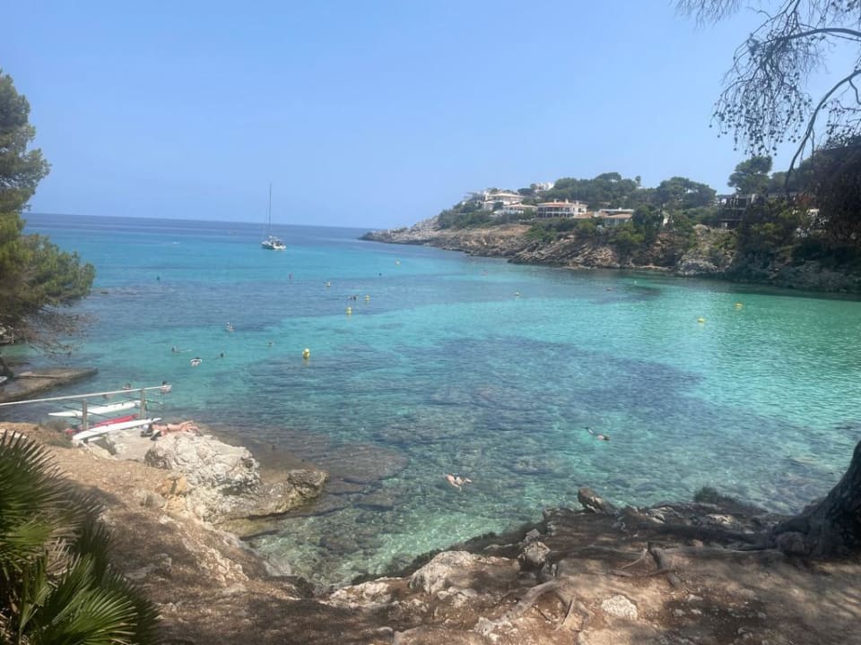 Ausblick Iberostar Waves Pinos Park