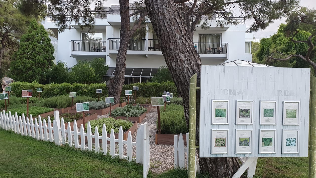 Gartenanlage TUI MAGIC LIFE Beldibi +16