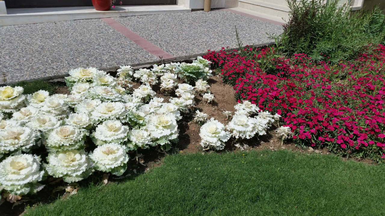 Super schöne GRÜNE Anlage Voyage Belek Golf & Spa