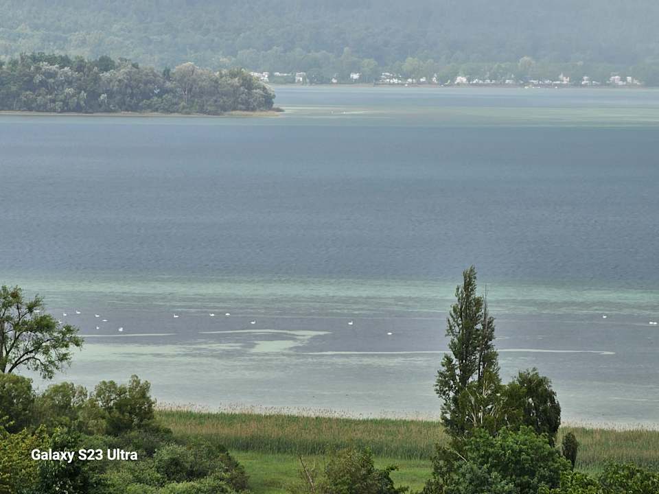 Ausblick Hotel Hirschen Horn | Refugium am See