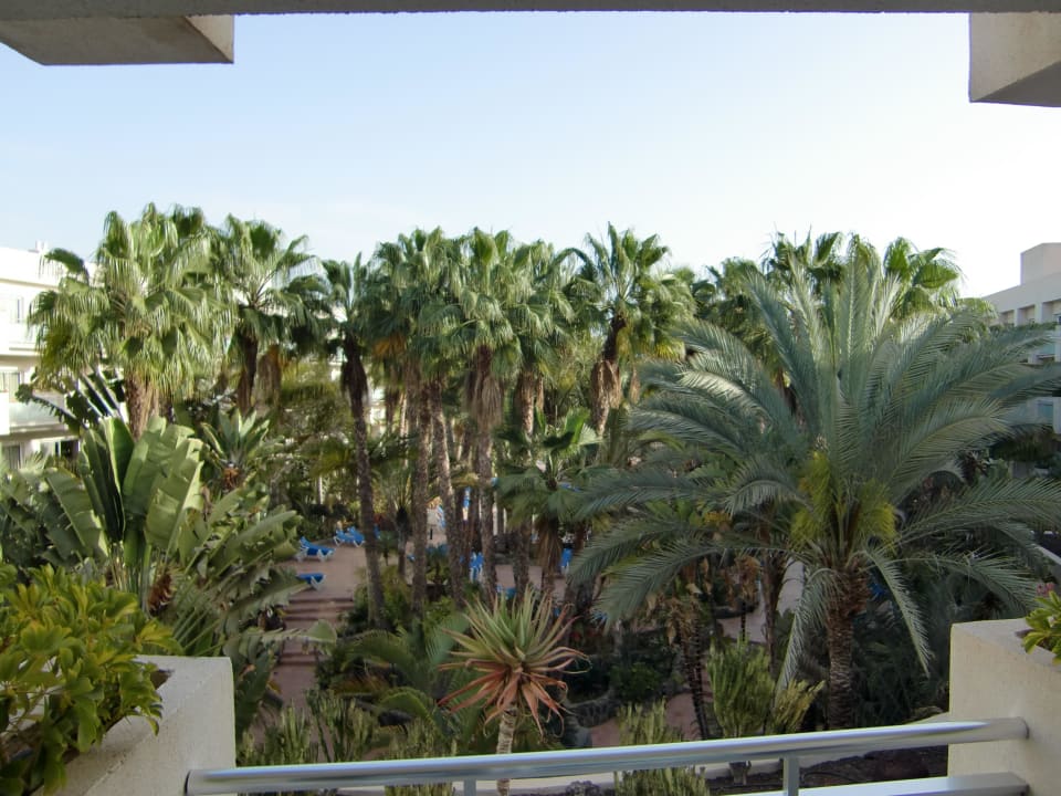 Blick vom Balkon auf die Poolanlage Tabaiba Princess