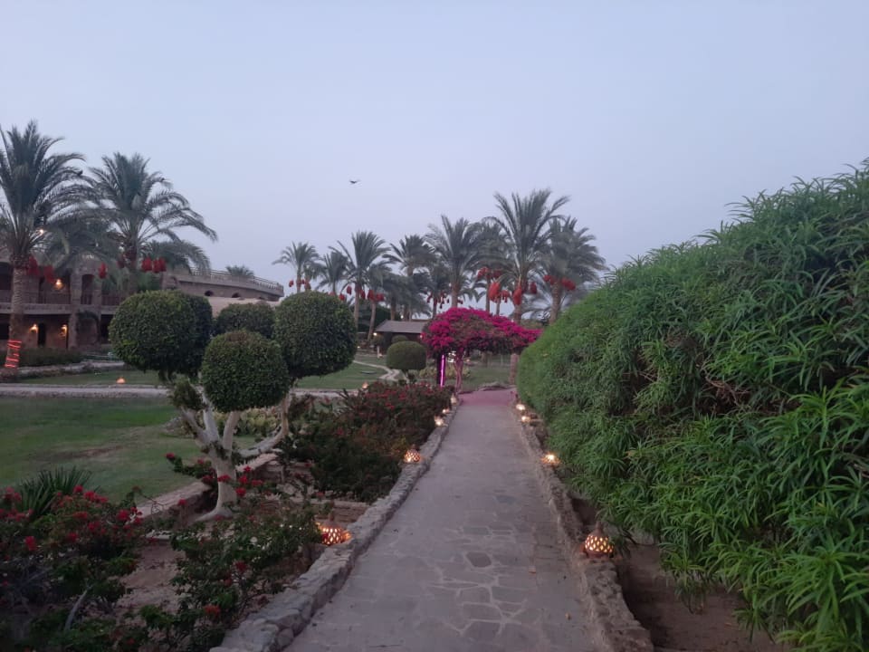 Gartenanlage Utopia Beach Club