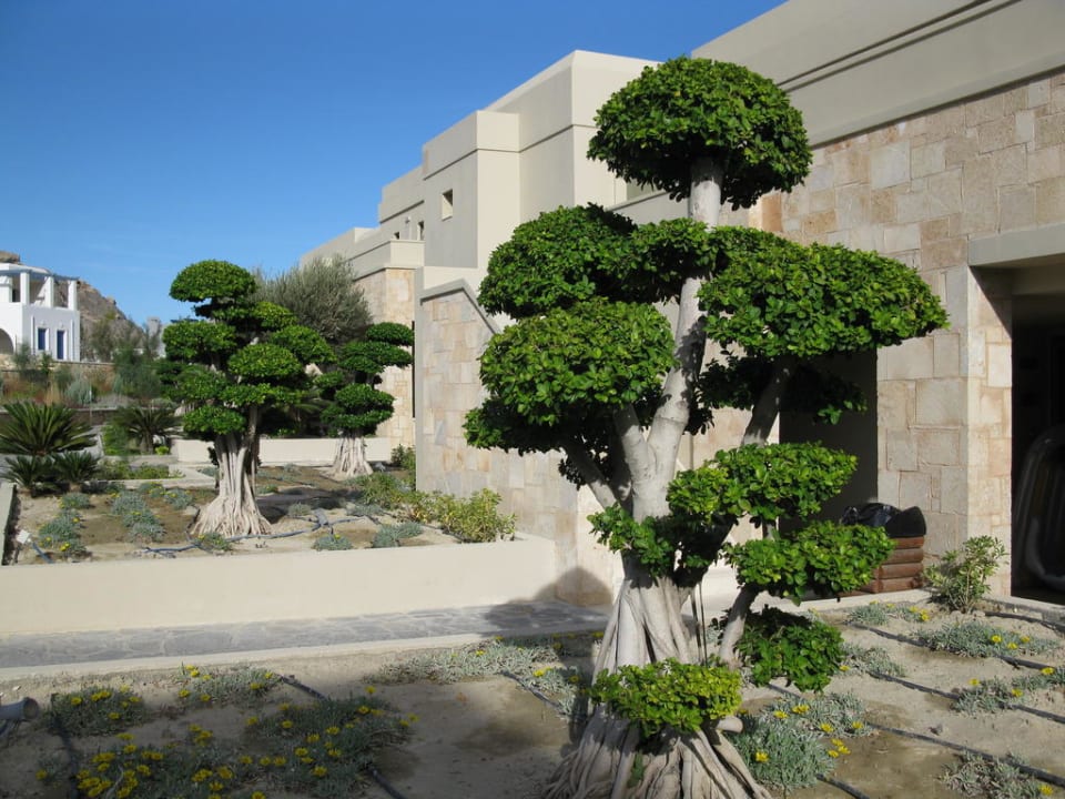 Block 8 Aquagrand Artistic Luxury Beach Resort - Adults only