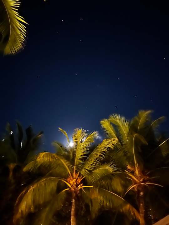 Ausblick Lagoon Attitude - Adults only