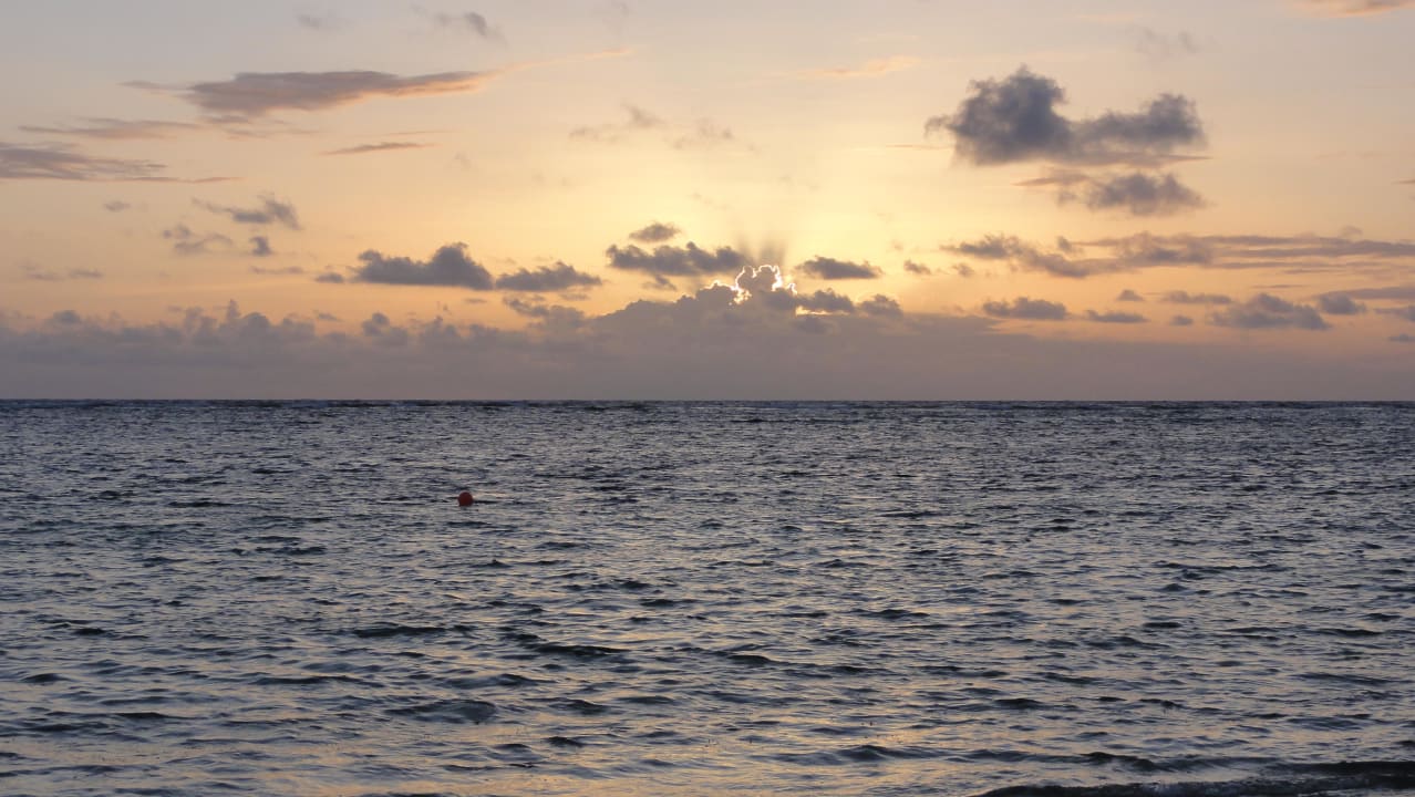 Sonnenaufgang Catalonia Royal Bavaro - Adults only