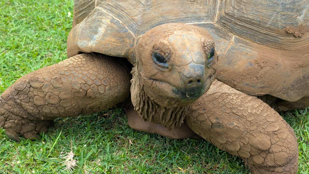 Sonstiges Radisson Blu Poste Lafayette Resort & Spa - Adults only