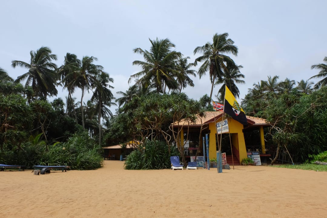 Strandterrasse und Grundstück vom Strand aus Rangas Guesthouse