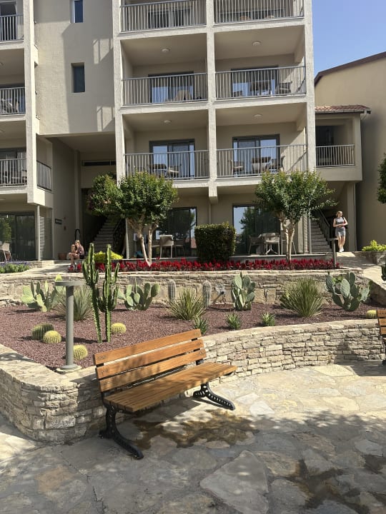 Gartenanlage Arum Barut Collection