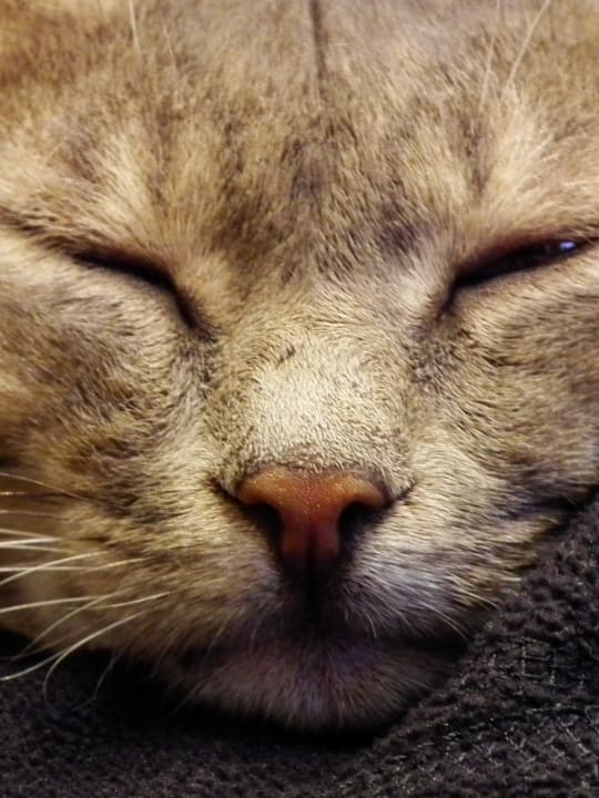 Hotel Kalithea Horizon Royal Hotel Kalithea Horizon Royal