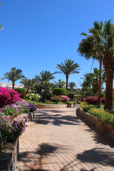 Gartenanlage Fort Arabesque Resort, Spa & Villas
