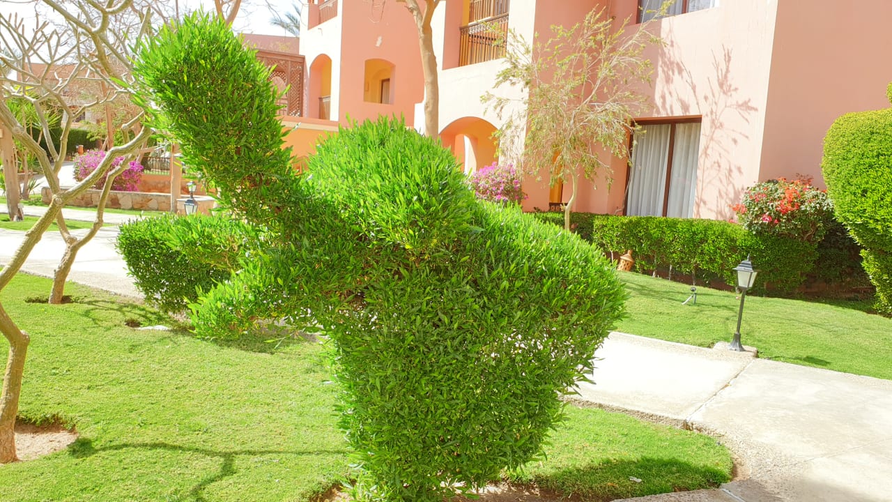 Außenansicht Jaz Makadi Saraya Resort