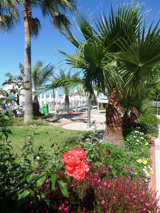 Schön und gepflegt Saphir Resort & Spa