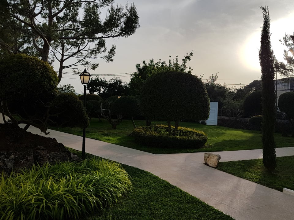 Gartenanlage Prinsotel Mal Pas (Adults only)