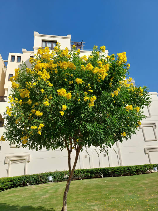 Gartenanlage Steigenberger ALDAU Beach Hotel