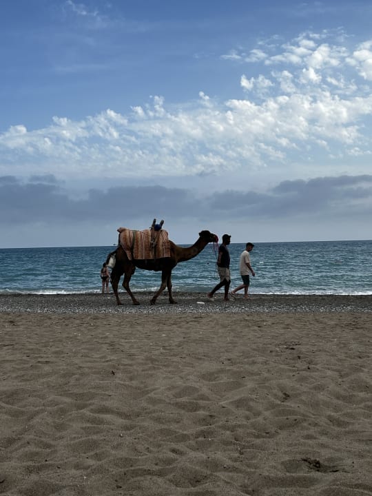 Strand Kirman Belazur Resort & Spa