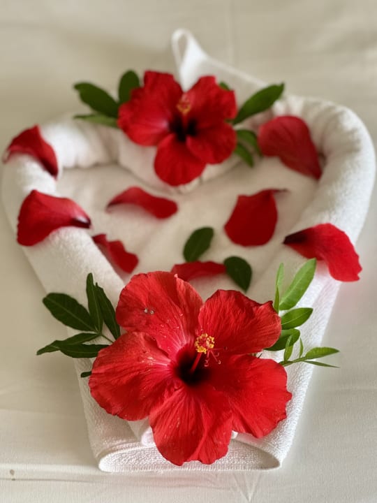 Zimmer Oceana Hotel & Spa