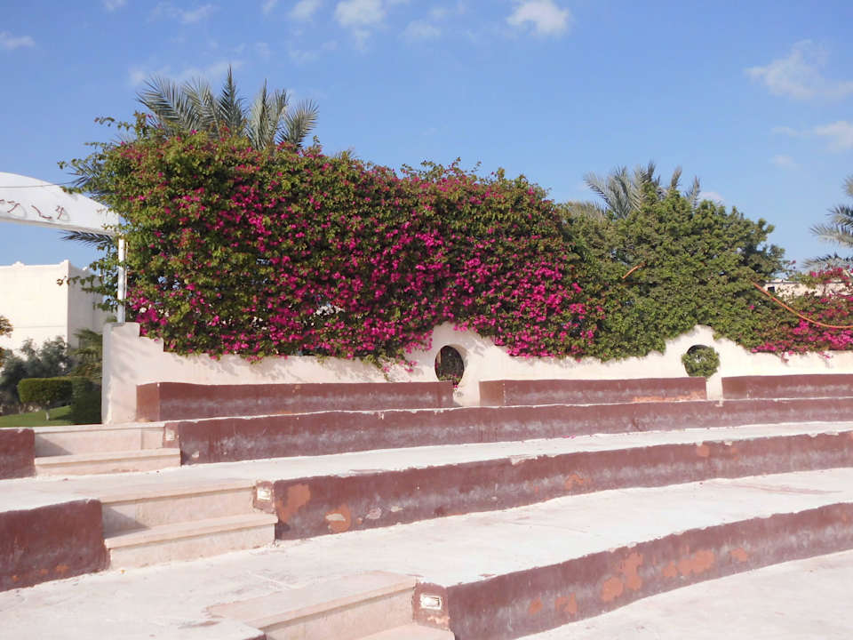 Three Corners Sea Beach Three Corners Sea Beach Resort