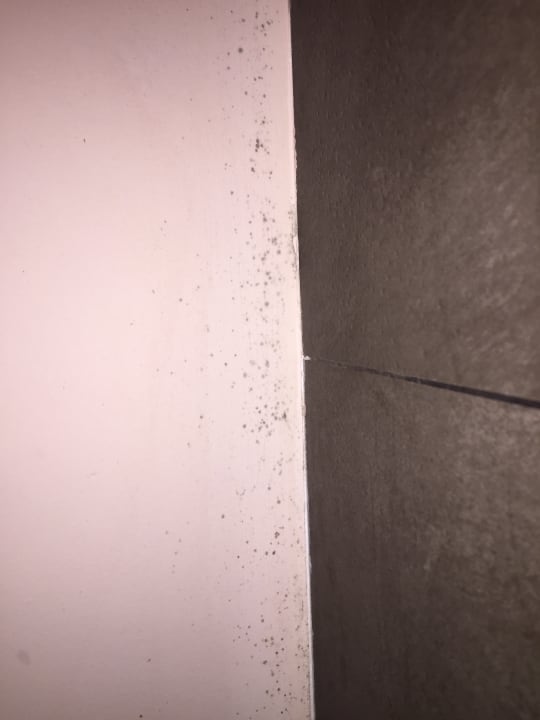 Zimmer Lopesan Baobab Resort