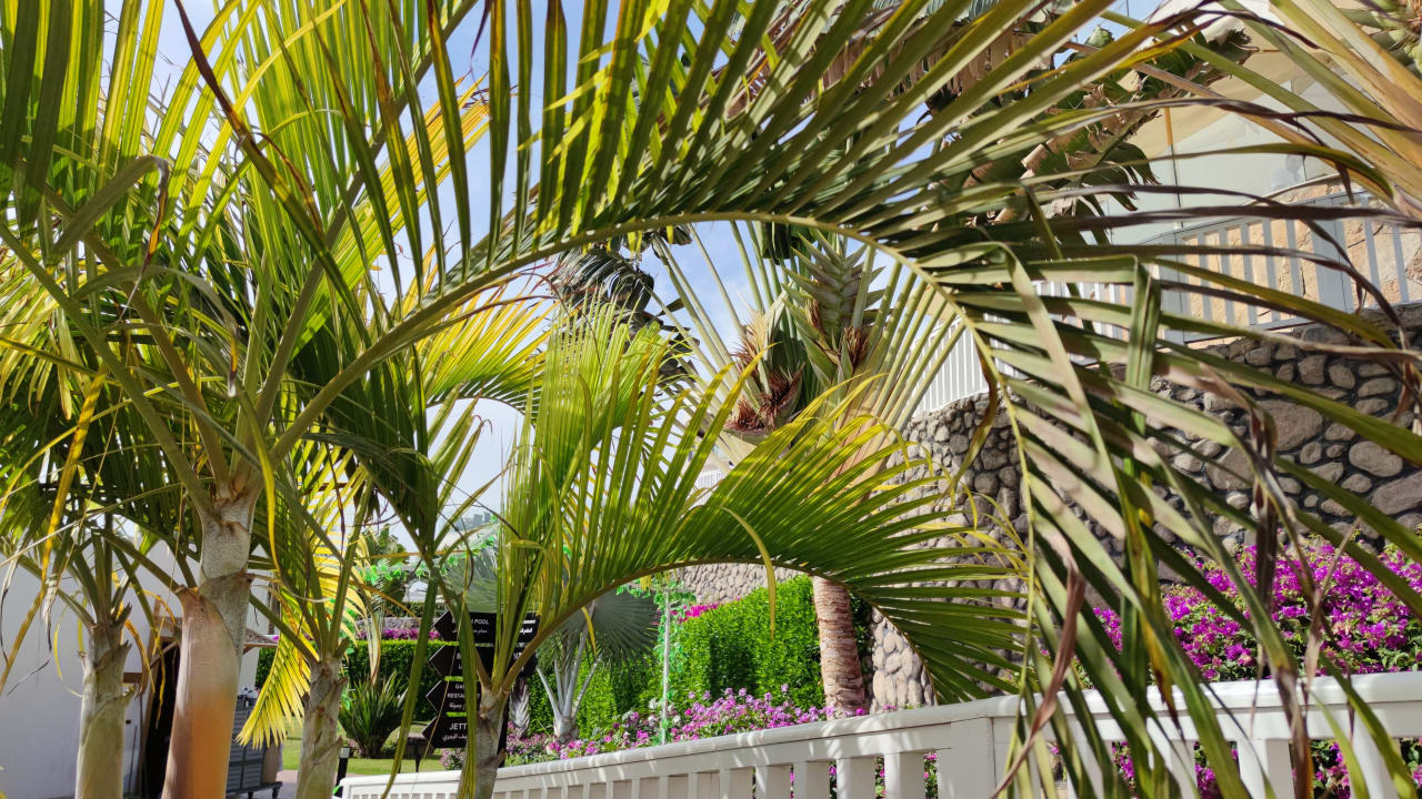 Gartenanlage SUNRISE Diamond Beach Resort - Grand Select