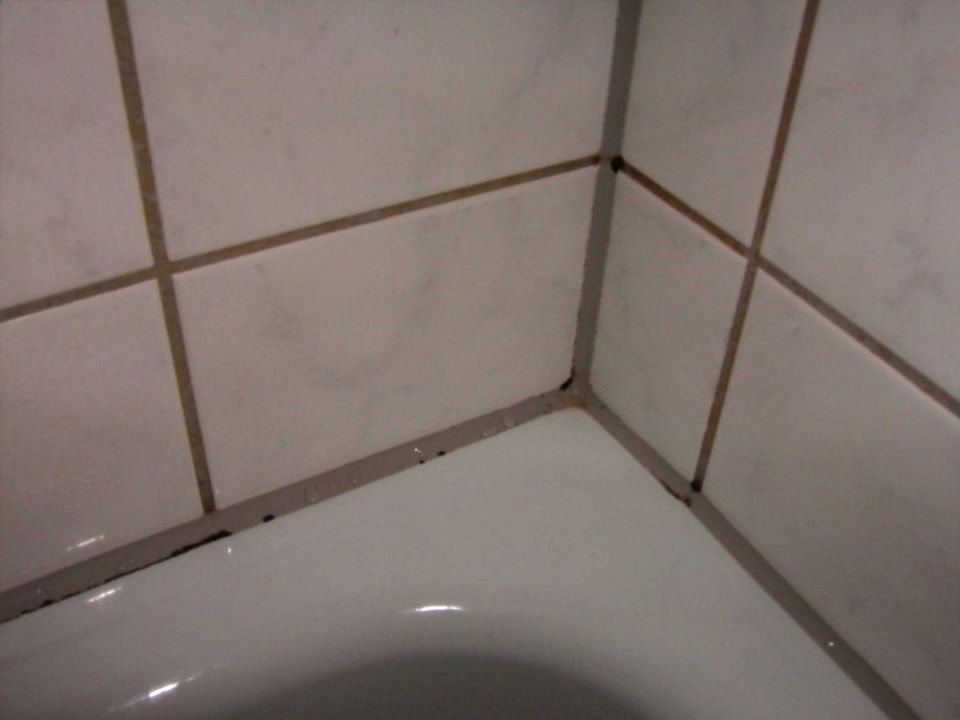 Dusche mit Schimmel acora Düsseldorf Living the City