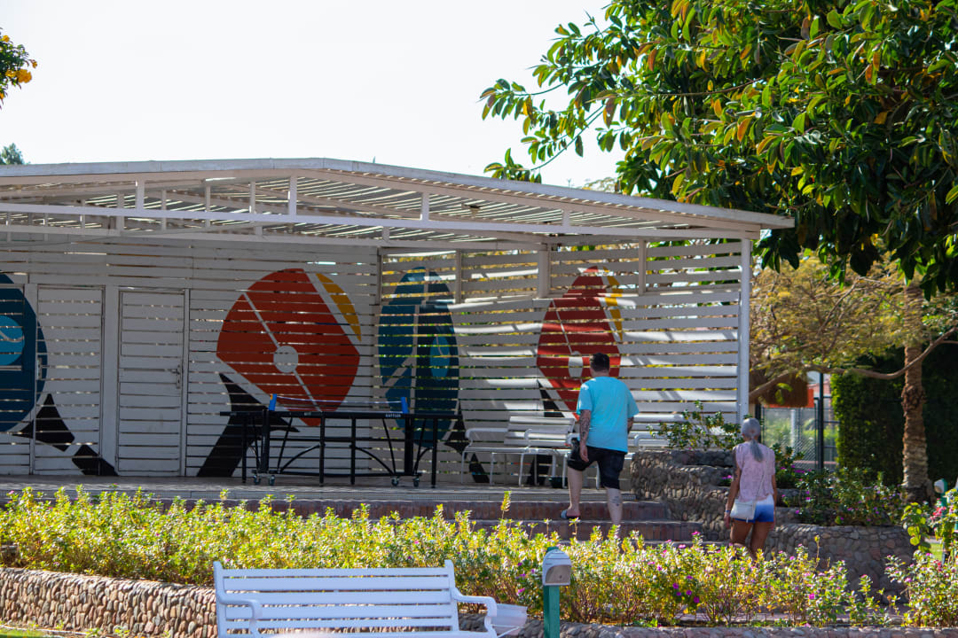 Sport & Freizeit Desert Rose