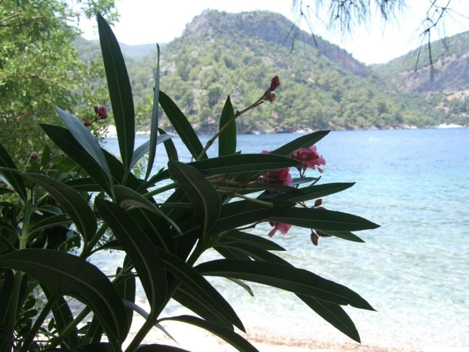 Einfach schön Hillside Beach Club