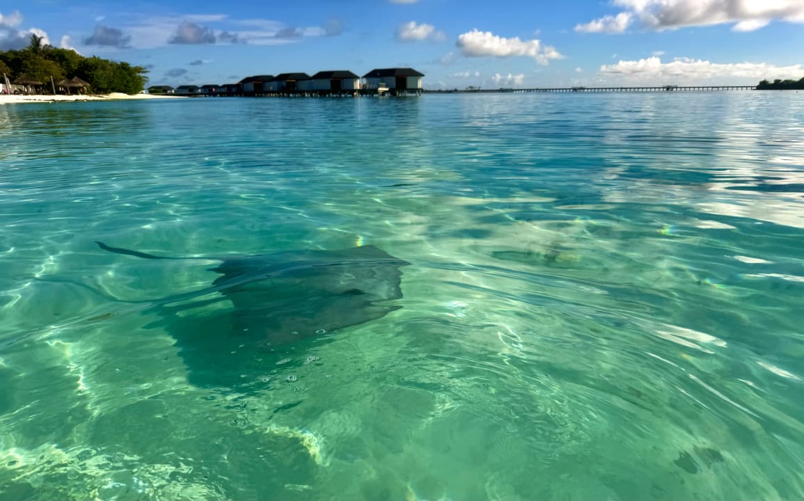 Strand Cinnamon Dhonveli Maldives