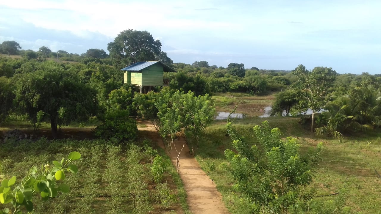 Ausblick Hotel Bentota Village