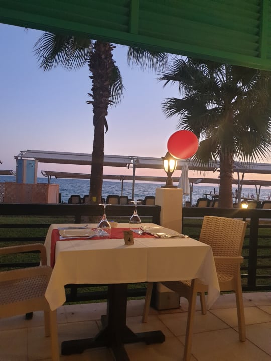 Gastro Crystal Family Comfort Collection