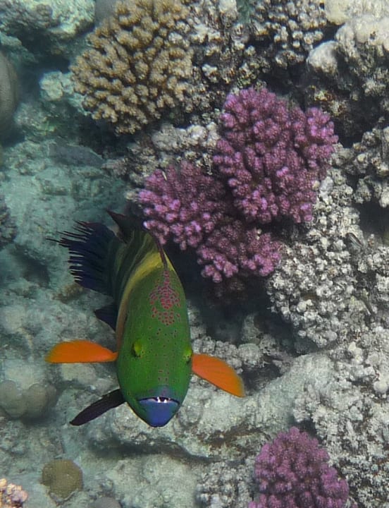 Sport & Freizeit Grand Makadi