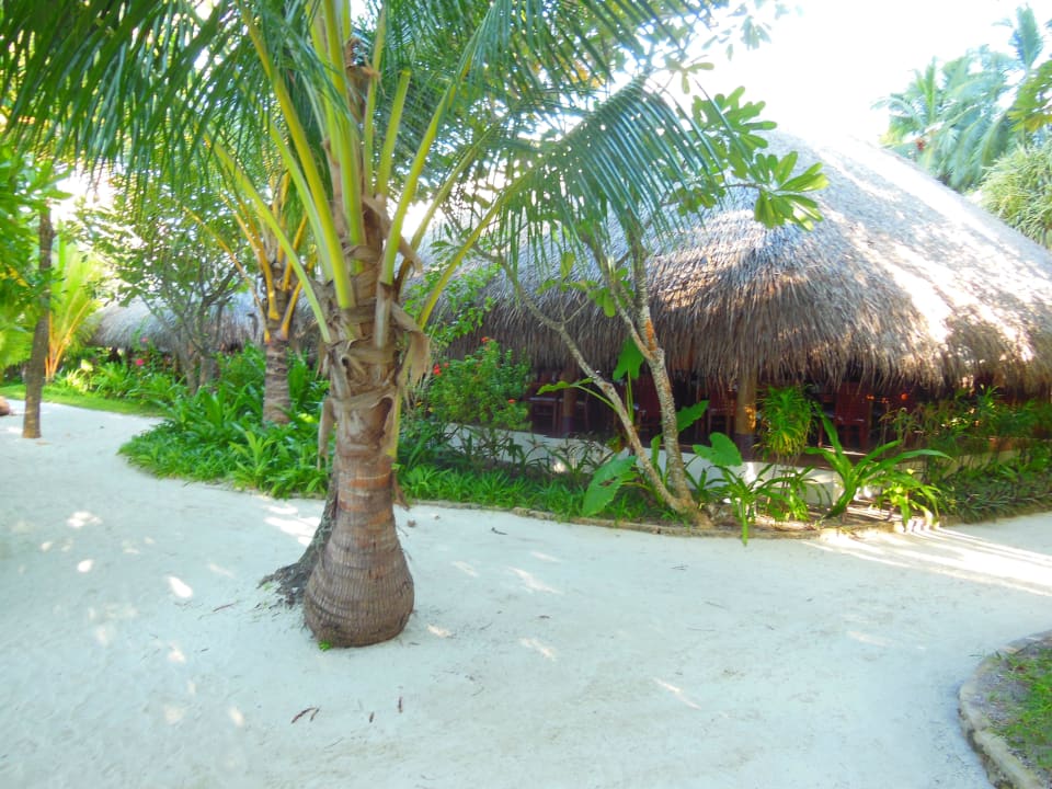 Malaafaiy Restaurant Kuramathi Maldives