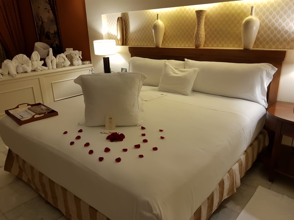 Zimmer JOIA Paraiso by Iberostar