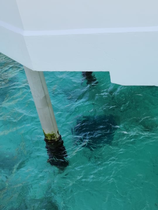 Strand Angaga Island Resort