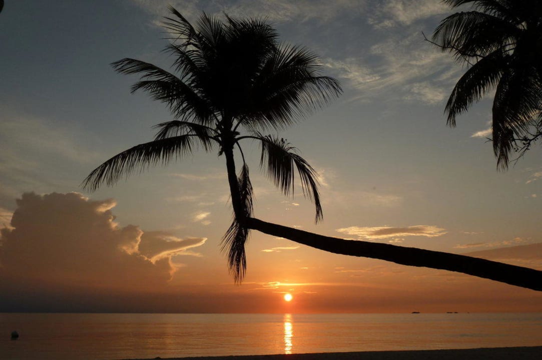 Sonnenaufgang mit Palme Diamonds Thudufushi