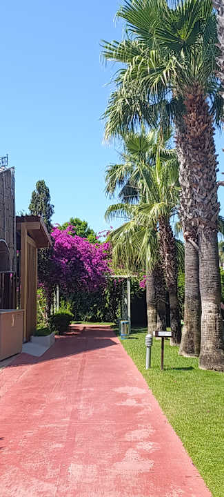 Gartenanlage Saturn Palace Resort Hotel