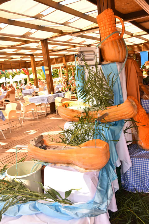 Gastro Seher Resort & Spa