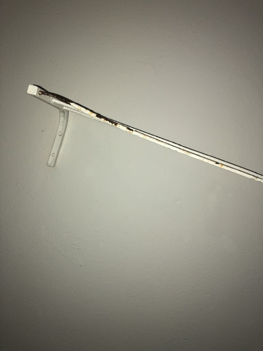 Zimmer Hotel Riviera